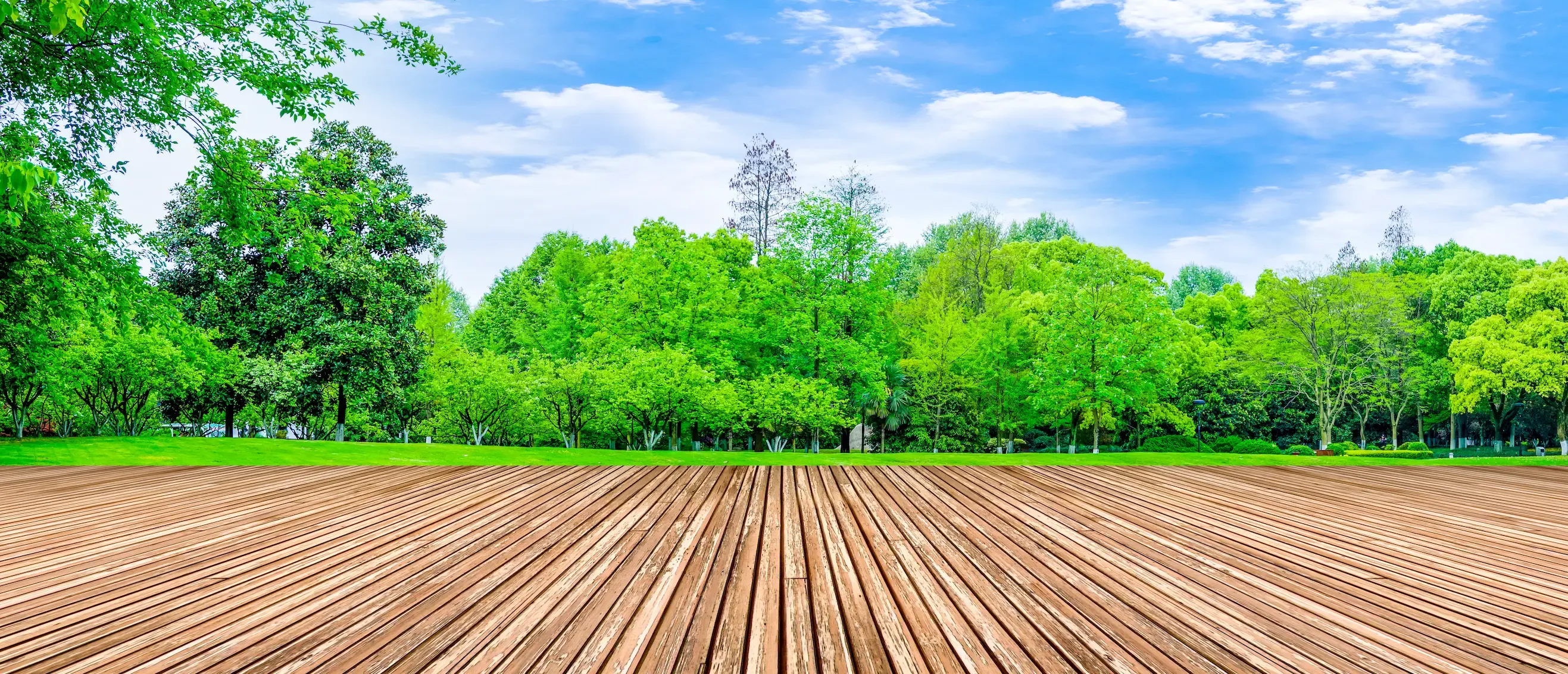 Clam peace landspaces